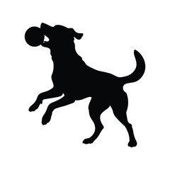 dog playing with football 