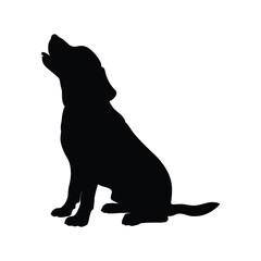 black silhouette of a dog