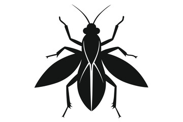 Detailed silhouette illustration of a leaf insect on a clean white background