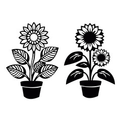 The Popular Dwarf Sunflowers vector