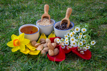 Natural Spring Composition Featuring Flowers, Nuts, Seeds, and Honey on Grass