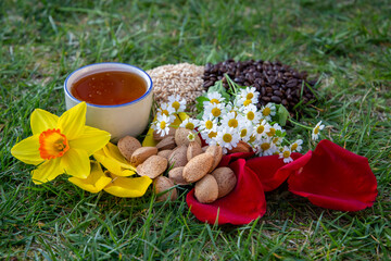 Selection of Natural Ingredients and Flowers Arranged Outdoors on Grass