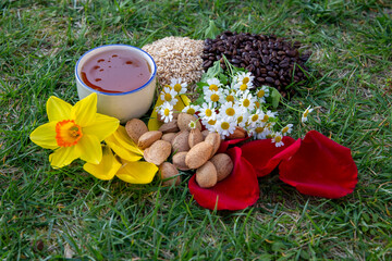 Natural Ingredients and Flowers on a Green Grass Background