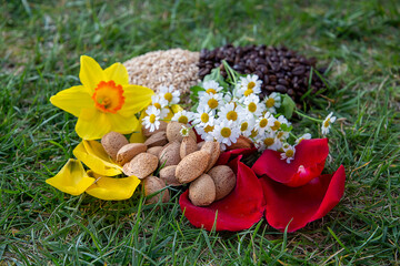 Arrangement of Natural Ingredients Including Flowers, Nuts, and Grains on Grass