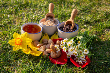 Assorted Food and Flowers Displayed in a Natural Outdoor Setting