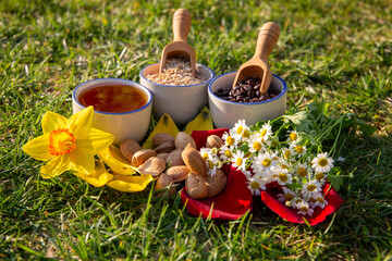 Natural Ingredients and Spring Flowers In a Serene Outdoor Setting