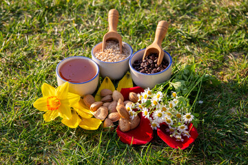 Natural Ingredients and Flowers on Grass in Sunny Outdoor Setup