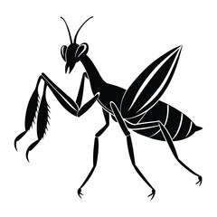 a black and white image of a praying mantis.