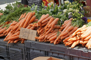 Vendor selling carrots at an organic food stand at the local farmers market. 