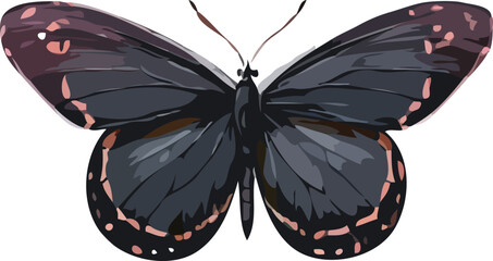 butterfly vector art