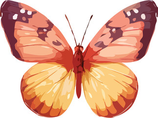 butterfly vector art