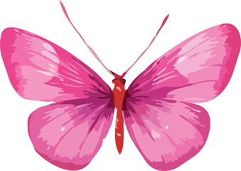 butterfly vector art