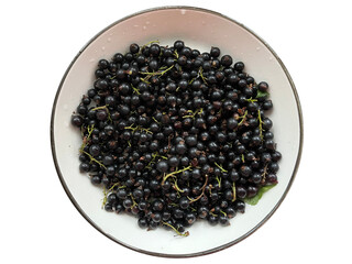A plate with black currants. Isolated on a white background.