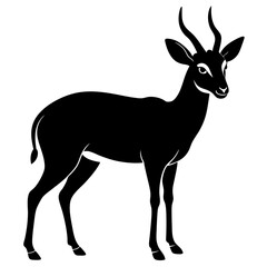 Klipspringer in Natural Habitat Wildlife Vector