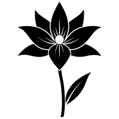 Pasque Flower Hand Drawn Botanical Design for Floral Decor