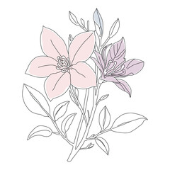 Elegant Line Art Floral Illustration with Soft Pastel Colors