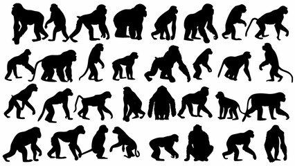 Naklejka premium Silhouette collection showing various poses and postures of different monkey species and primate types