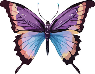 butterfly vector art