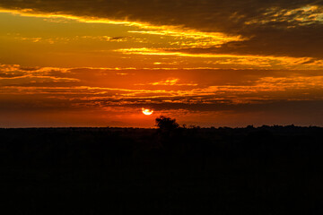 Obraz premium Landscape at the Serengeti national park at sunset, Tanzania