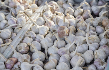 Natural-looking vegetables in a supermarket - garlic.