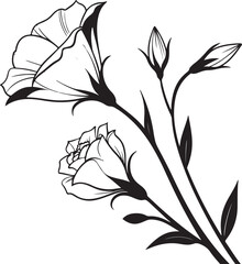 Elegant lisianthus flower silhouette with soft layered petals isolated on transparent background