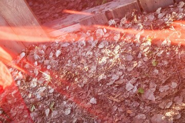 Autumnal Ground Cover with Fallen Leaves and Wooden Border, Natural Outdoor Scene.