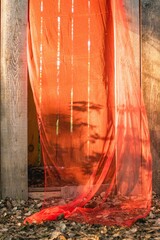 Ethereal Red Fabric Drape Against Weathered Wooden Fence. A Study in Texture and Light.