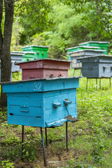 Vertical composition of colorful beehives in forest
