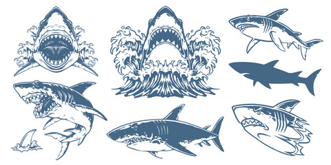 Various shark illustrations showcasing marine life