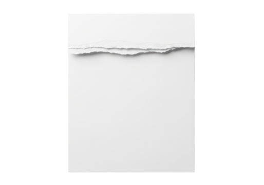 transparent paper with a perfectly torn ragged upper edge showcasing fibrous details, smooth lower part, against a transparent isolated background, top-down view, no shadows, minimalist design