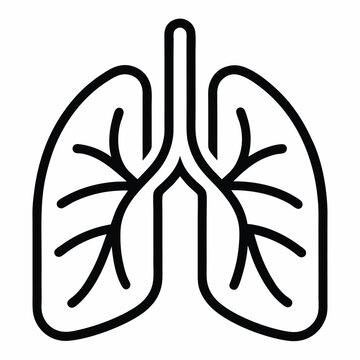 vector illustration of a human lung