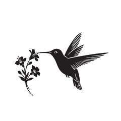 Obraz premium Black hummingbird feeding on delicate flowers nectar wings