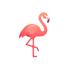 Fototapeta premium Flamingo in paradise: A graceful flamingo with vibrant pink plumage stands elegantly, embodying tropical beauty and serenity. 
