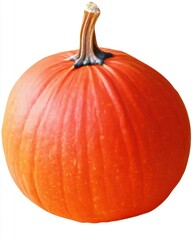 A vibrant orange pumpkin with a textured surface and a sturdy stem, perfect for autumn decorations.