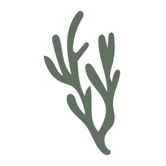 Minimalist ocean plant vector for underwater decor concepts.
