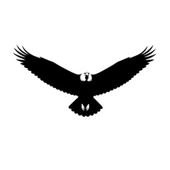 Soaring Silhouette: A striking silhouette of an eagle in mid-flight, its powerful wings outstretched, embodies freedom and majesty against the boundless sky.