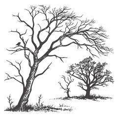 Bare winter trees with a bird on a branch and grass in a sketch style