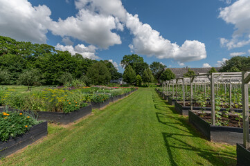 vegetables bank
