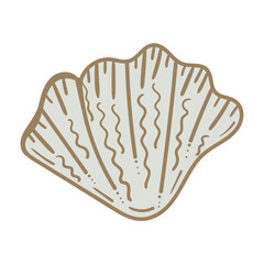 Vector illustration of a colored sea shell on white background. 