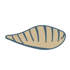 Vector illustration of a single colored sea shell on white background. Elegant drawing for coastal graphic compositions.