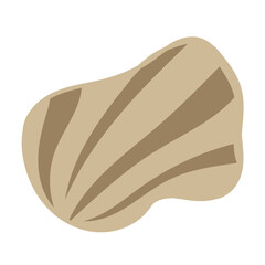 A vector illustration shows a single colored sea shell on a white background. Minimal design and coastal calm.