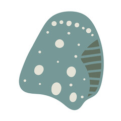 Vector illustration of a single colored sea shell on white background. Elegant drawing for coastal graphic compositions.