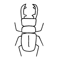 クワガタ 手描きイラスト