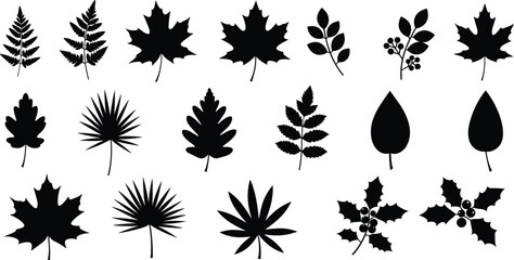 Leaf silhouette collection with various shapes, maple, oak, fern, palm, holly, autumn botanical vector icons, foliage clipart set