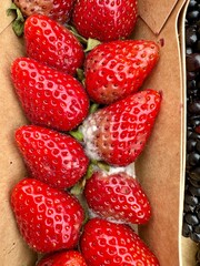 Erdbeeren mit Schimmel