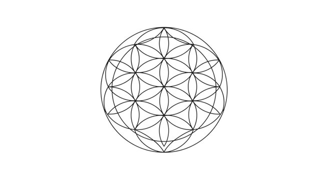 Clean line art of the Flower of Life. Sacred geometry vector illustration for spiritual themes, isolated on a white background.
