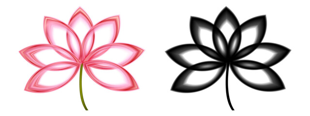Color and black silhouettes of lotus flowers. Lotus plant. Lotus flower. Vector illustration.
