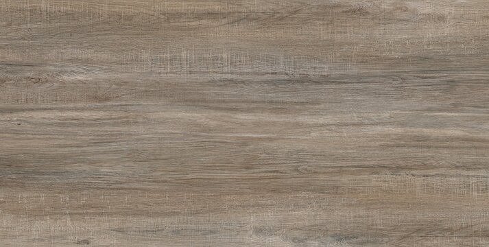 texture of wood background	
