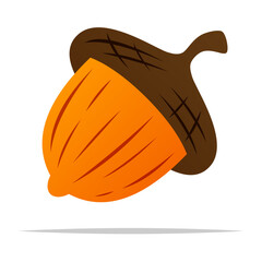 Autumn acorn vector isolated illustration