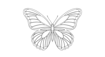 Fototapeta premium Intricate Butterfly Line Art – Minimalist Nature Vector with Symmetrical Wings on White Background